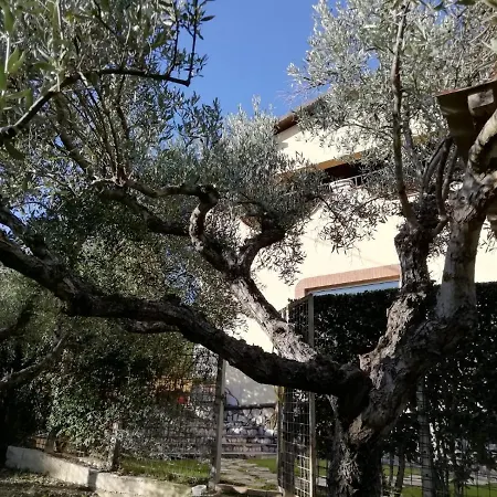 Villa Concipat Affittacamere Vendégház Fonte Nuova