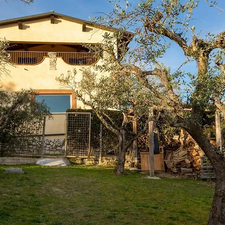 Villa Concipat Affittacamere Fonte Nuova